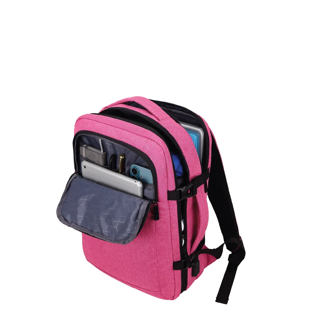 Pink backpack with a gray compartment on a white background